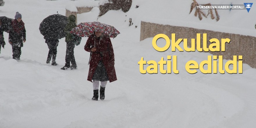 Şemdinli'de kar yağışı: Okullar tatil edildi