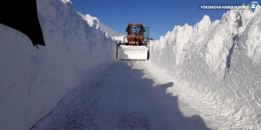 Bingöl'de 3 metreyi aşan karla mücadele ediliyor