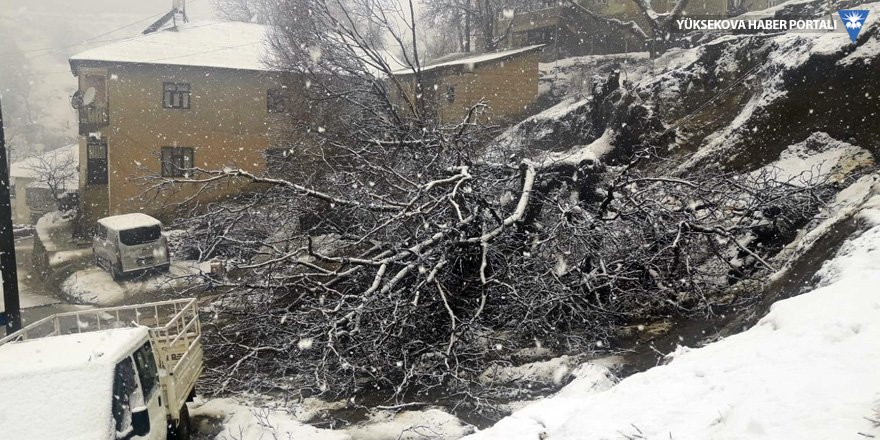Şemdinli'de kar yağışı ve heyelan: Ağaçlar devrildi