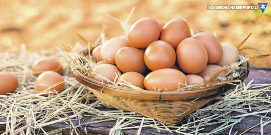 Yumurta uyarısı: Saman içinde olunca organik olmuyor!