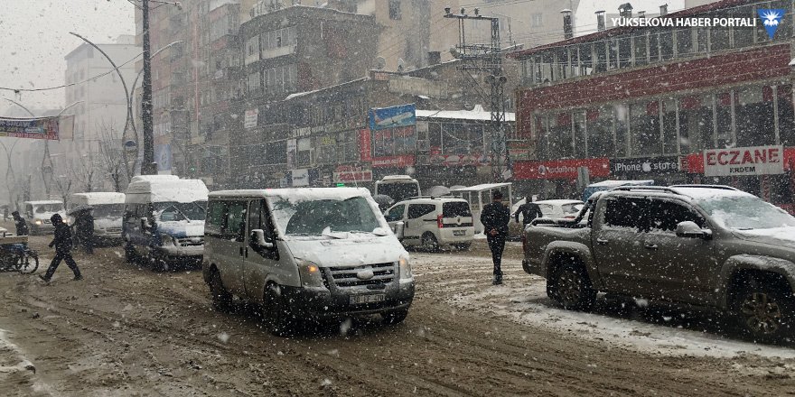 Yüksekova'da yoğun kar yağışı - 14-03-2019