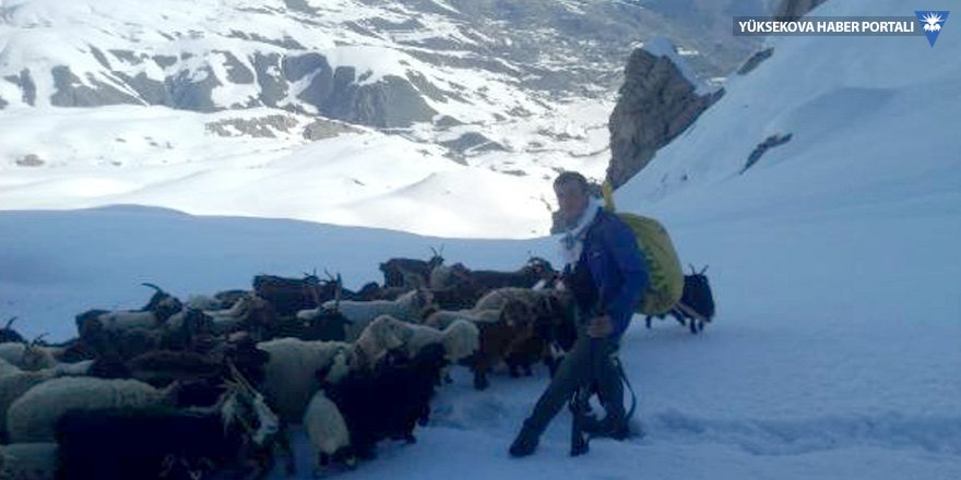 Hakkari'de besicilerin karda zorlu yolculuğu