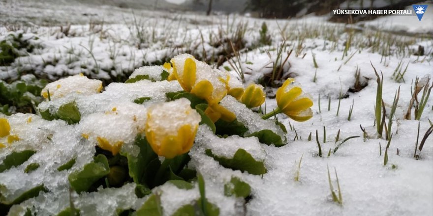 Kars'ta mayıs ayında kar yağışı