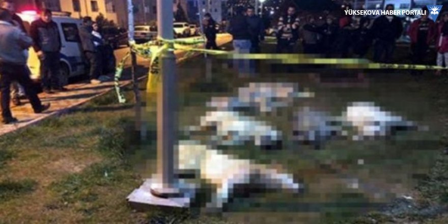 ‘Köpek katliamı’ davasında belediye müşteki sıfatıyla çağrıldı