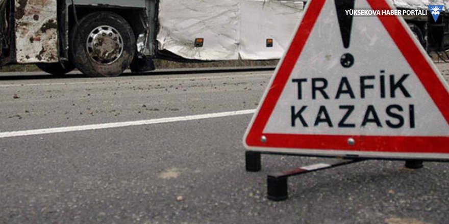 Ağrı'da trafik kazası: 1 ölü, 2 yaralı