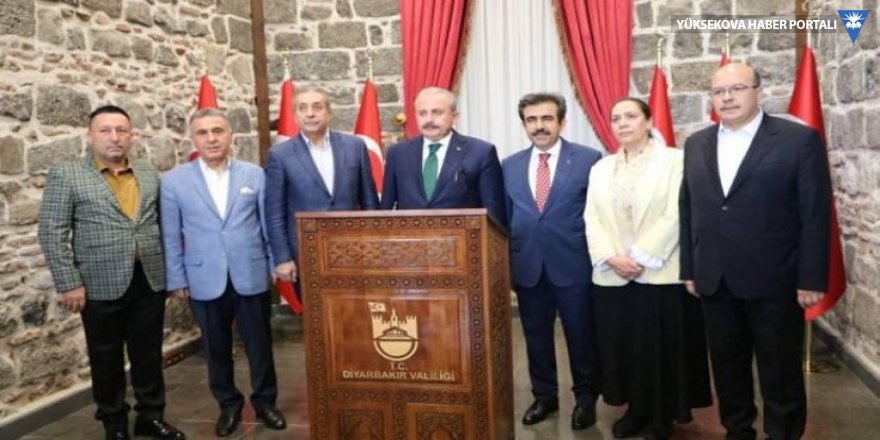 Meclis Başkanı Şentop, Diyarbakır programında Mızraklı'ya yer vermedi