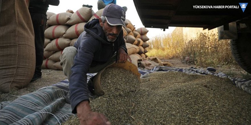 Suriyeli Kürtler: Şam'a buğday satışı fiilen yasak