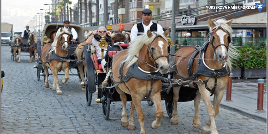 İzmir'de artık atlar fayton çekmeyecek