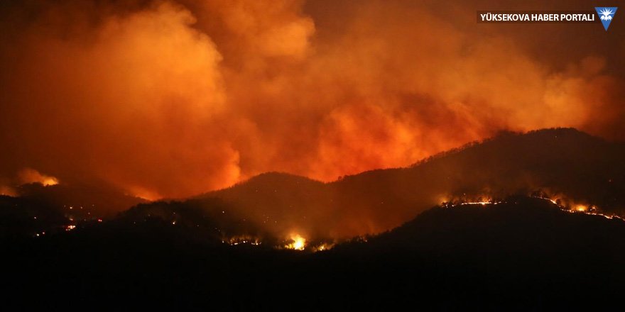 Muğla'daki orman yangınında yaklaşık 500 futbol sahası büyüklüğünde alan kül oldu