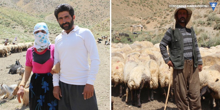 İranlı kardeşler Yüksekova'da çobanlık yapıyor