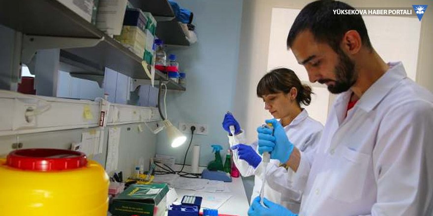 Türkiye'den bilim insanları 4 ölümcül virüs buldu