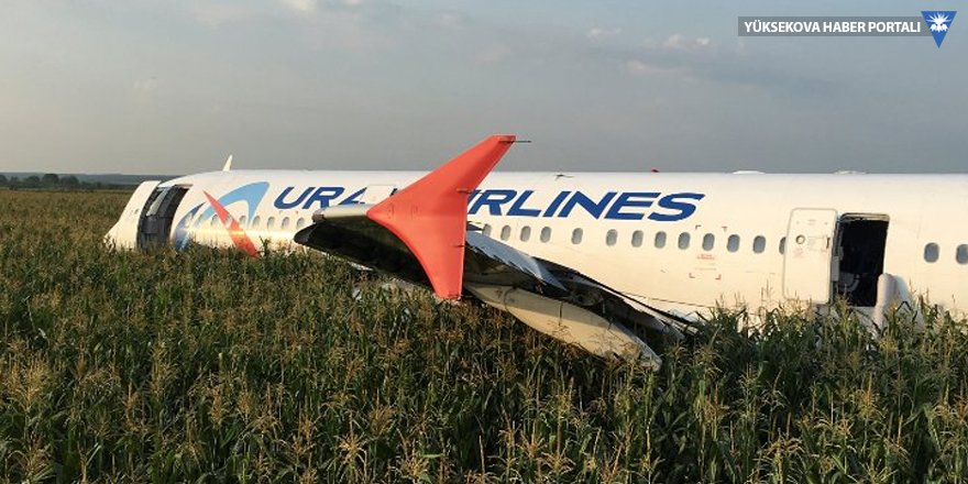 Kuş sürüsüne çarpan Rus yolcu uçağı mısır tarlasına acil iniş yaptı