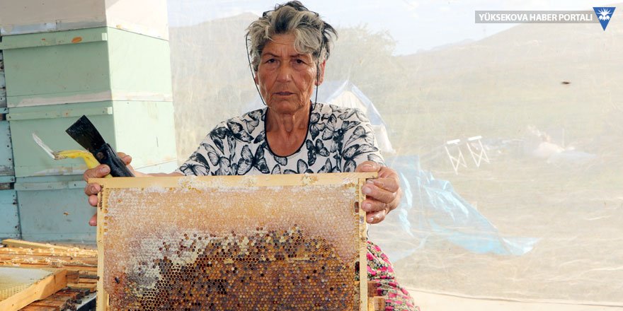 Muğlalı kadın arıcı, 27 yıldır Yüksekova'da arıcılık yapıyor
