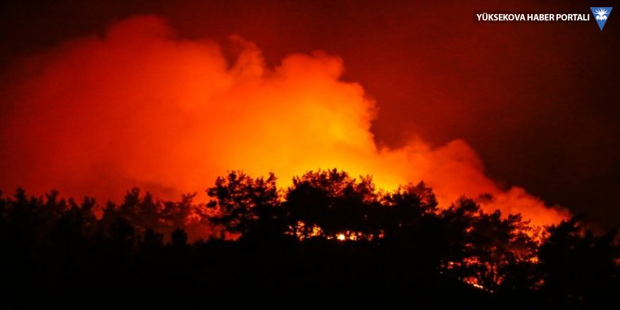 İzmir'in ormanları üç gündür yanıyor