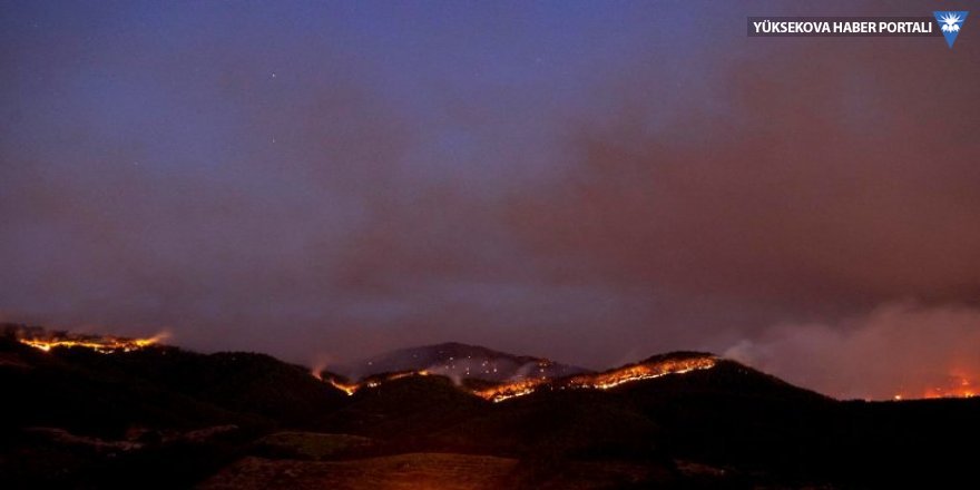 CHP İzmir'deki orman yangınları için Meclis Araştırması istedi