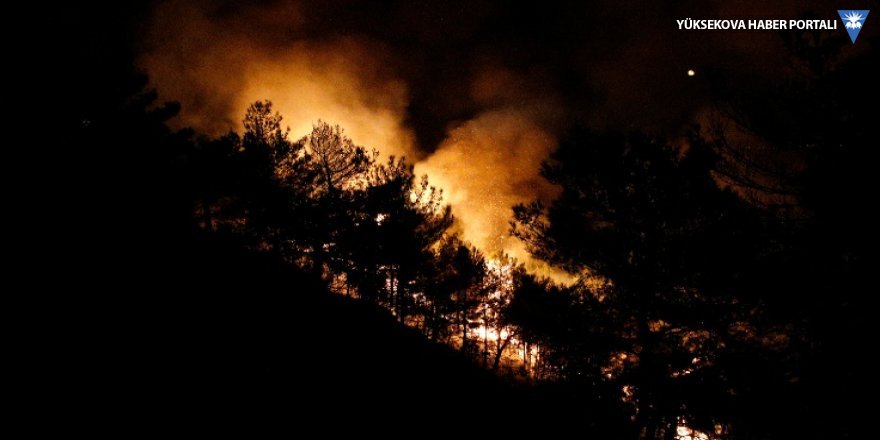 Hatay'da 25 farklı noktada orman yangını çıktı