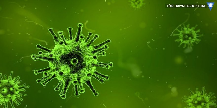 Bakan Koca: Grip antibiyotikle geçmez