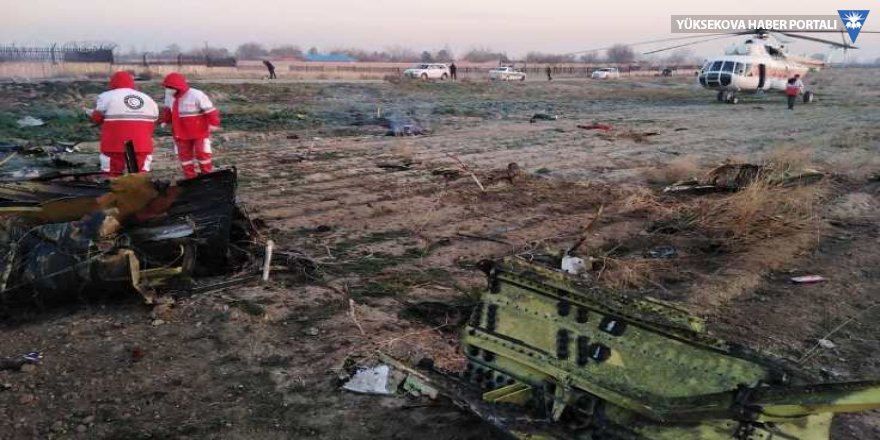 İran'da yolcu uçağı düştü: 176 ölü