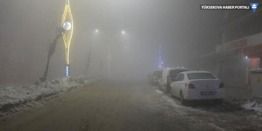 Yüksekova'da yoğun sis - 30-01-2020