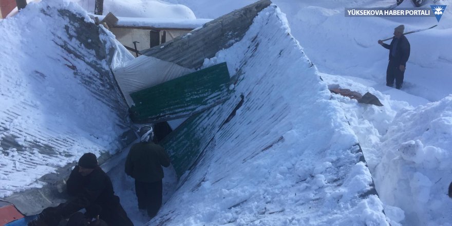 Yüksekova'da kar yağışı nedeniyle bir ahırın çatısı çöktü