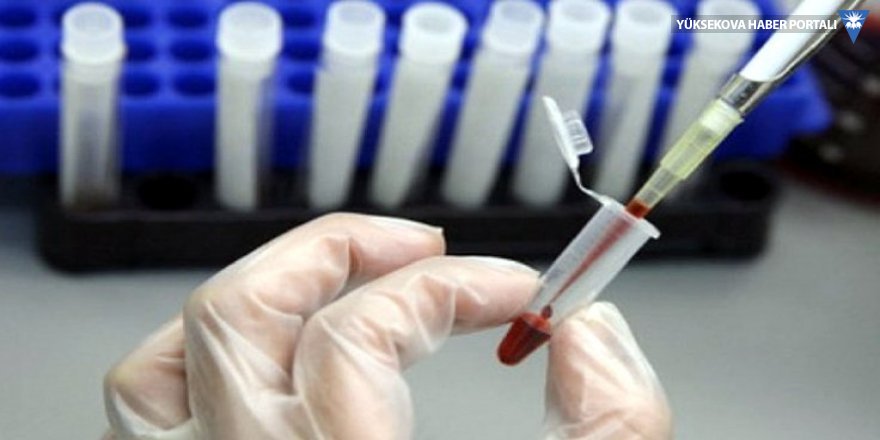 İran’da 2 kişi koronavirüsten hayatını kaybetti