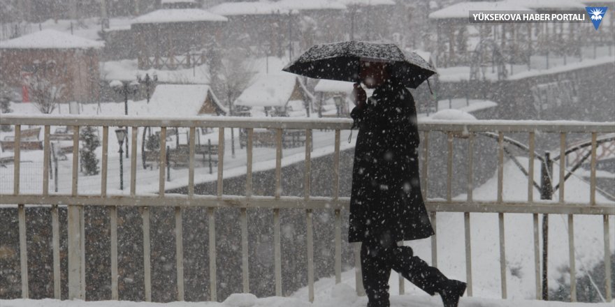 Erzurum, Ağrı ve Kars'ta kar yağışı etkili oluyor