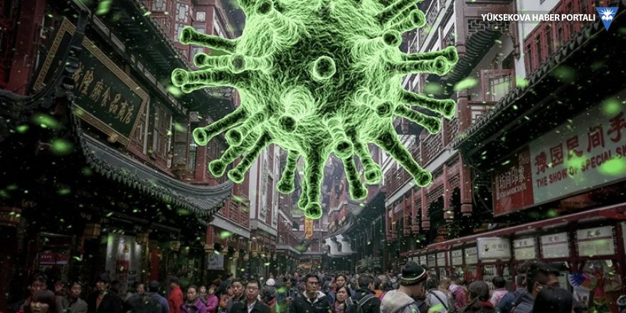 Harvard ve Yale uzmanları anlattı: 'Virüs 17 gün yaşıyor' iddiasının aslı ne?