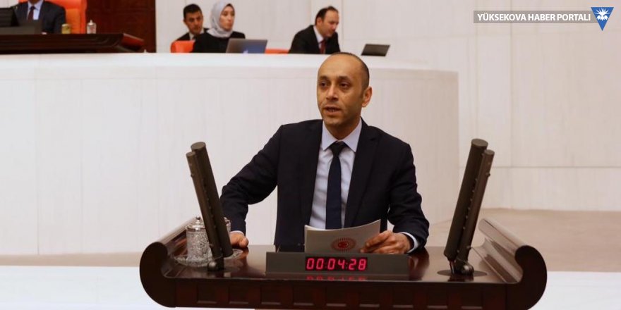HDP'li Dede Hakkari'nin sorunlarını meclise taşıdı
