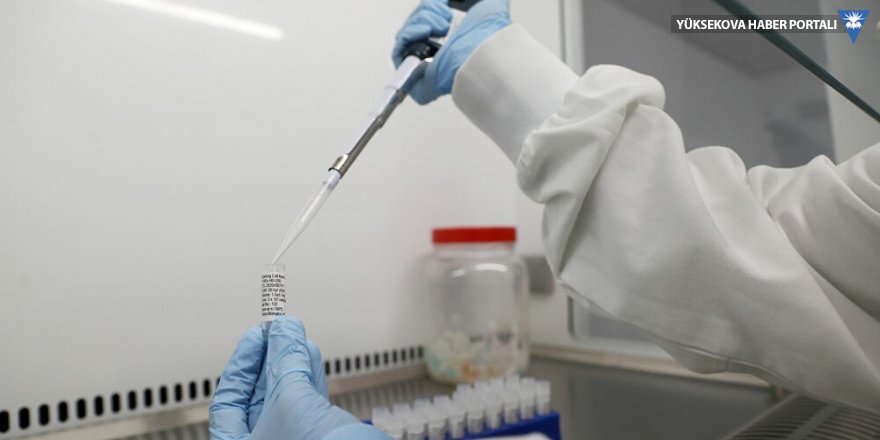 Oxford Üniversitesi'nden koronavirüs aşısı açıklaması: Haziran ayında netleşecek