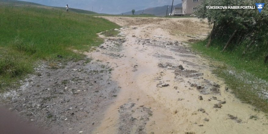 Başkale'de sel: Tarım arazileri su altında kaldı