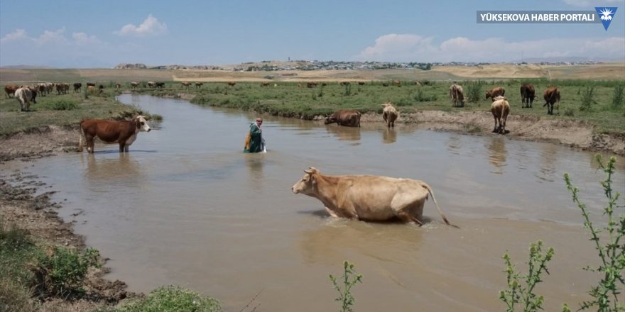 Çaldıran'da sel nedeniyle tarım arazileri hasar gördü