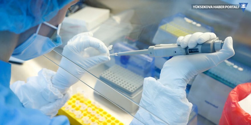 Pfizer ile BioNTech'in geliştirdiği koronavirüs aşısının prospektüsü açıklandı
