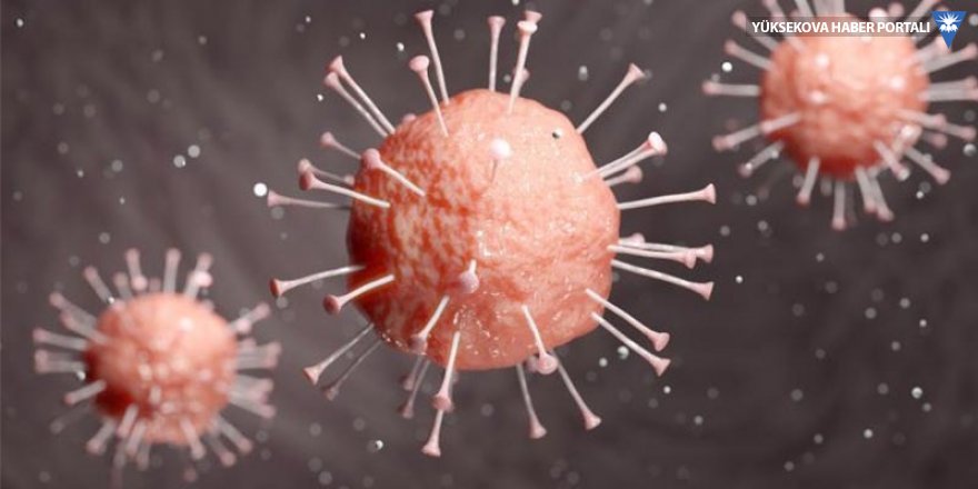 Uyarı: Mutasyona uğrayan yeni Coronavirus daha hızlı yayılıyor