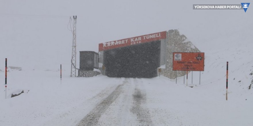 Van'da 3 noktada çığ tehlikesi: Kar tünelleri yapılmalı