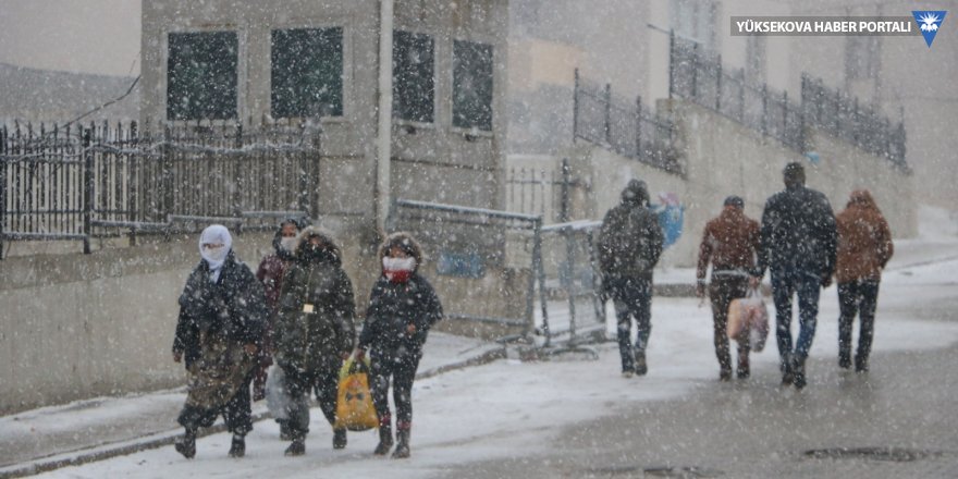 Yüksekova'da yoğun kar yağışı başladı - 14-01-2021