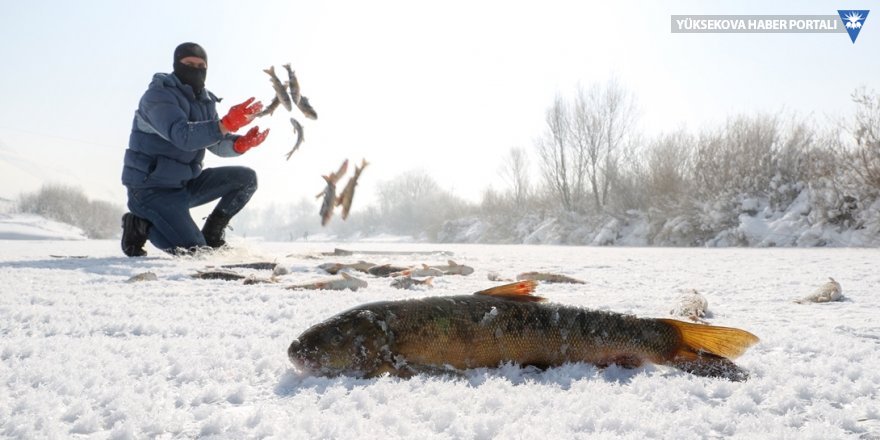 Yüksekovalı balıkçılardan buzla kaplı Nehil Çayı'nda balık avı