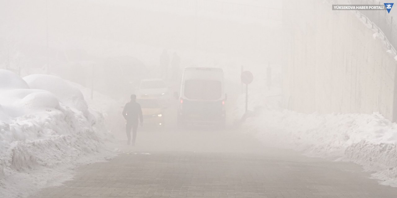 Yüksekova'da etkili olan sis sürücülere zor anlar yaşattı