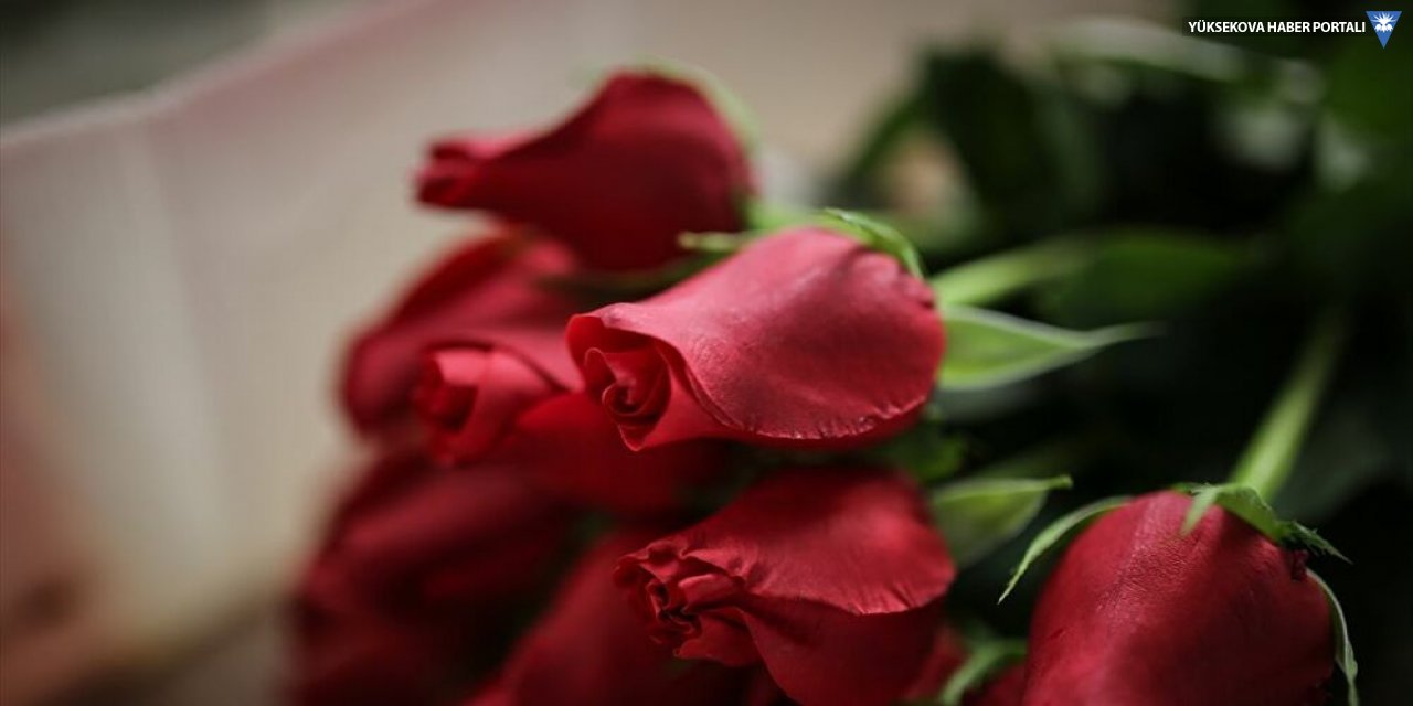 Sevgililer Günü için 22 ülkeye 70 milyon dal kesme çiçek gönderildi
