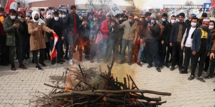 Muş ve Bitlis'te Newroz coşkusu