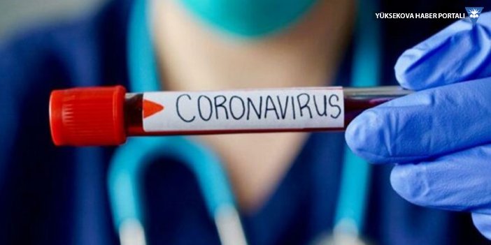 Coronavirus erkeklerde unutkanlık, kadınlarda saç dökülmesine neden oluyor