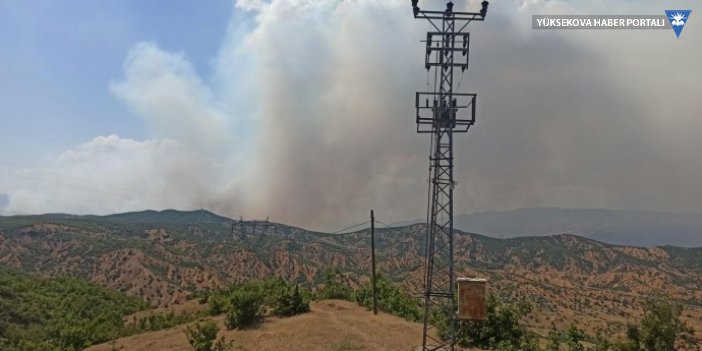 Bingöl Barosu: Yangınlarla bölge yaşanılamaz hale getiriliyor