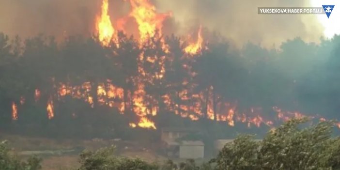 Orman yangınlarında son durum: 5 ilde 13 yangına müdahale sürüyor