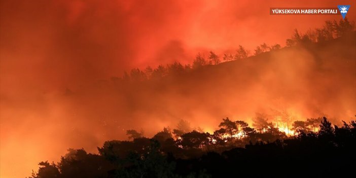 Altun: 47 ilimizde çıkan 239 yangının 234’ü kontrol altına alındı