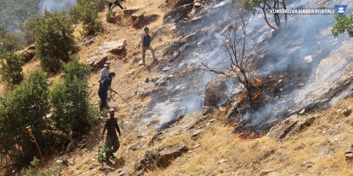 Şemdinli’deki orman yangınına ilişkin STK'lardan çağrı