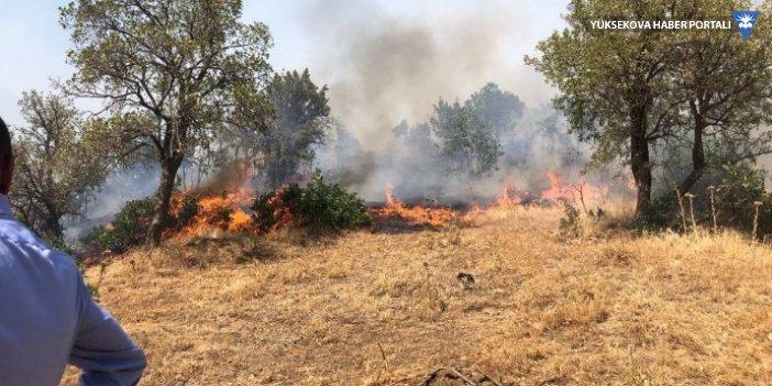 HDP, Şemdinli'deki yangın bölgesinde incelemede bulundu