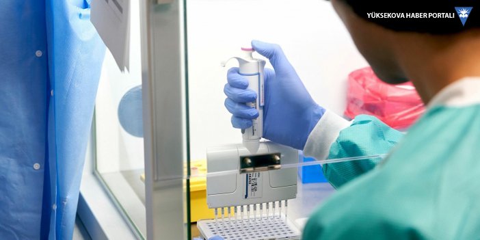 İçişleri Bakanlığı, 81 ilin valiliğine 'PCR Testi' konulu yeni bir genelge daha gönderdi