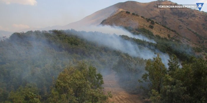 Şemdinli’deki orman yangını kısmi olarak kontrol altına alındı