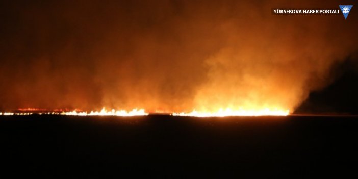 Yüksekova Nehil Sazlığı yanıyor | Kaymakam Özdemir: Bataklık olduğu için ekipler fazla müdahale edemiyor