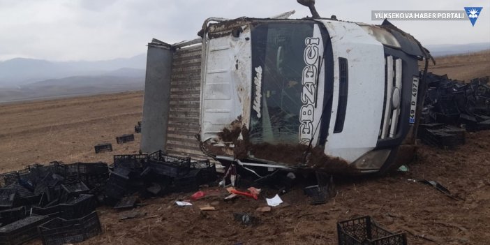 Van'da kamyonetin devrilmesi sonucu 3 kişi yaralandı