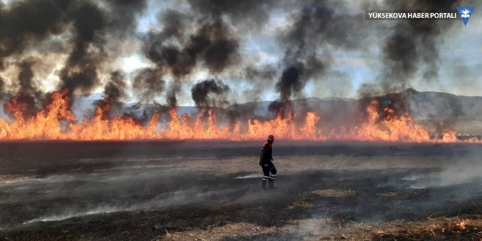 Yüksekova Nehil Sazlığında yangın